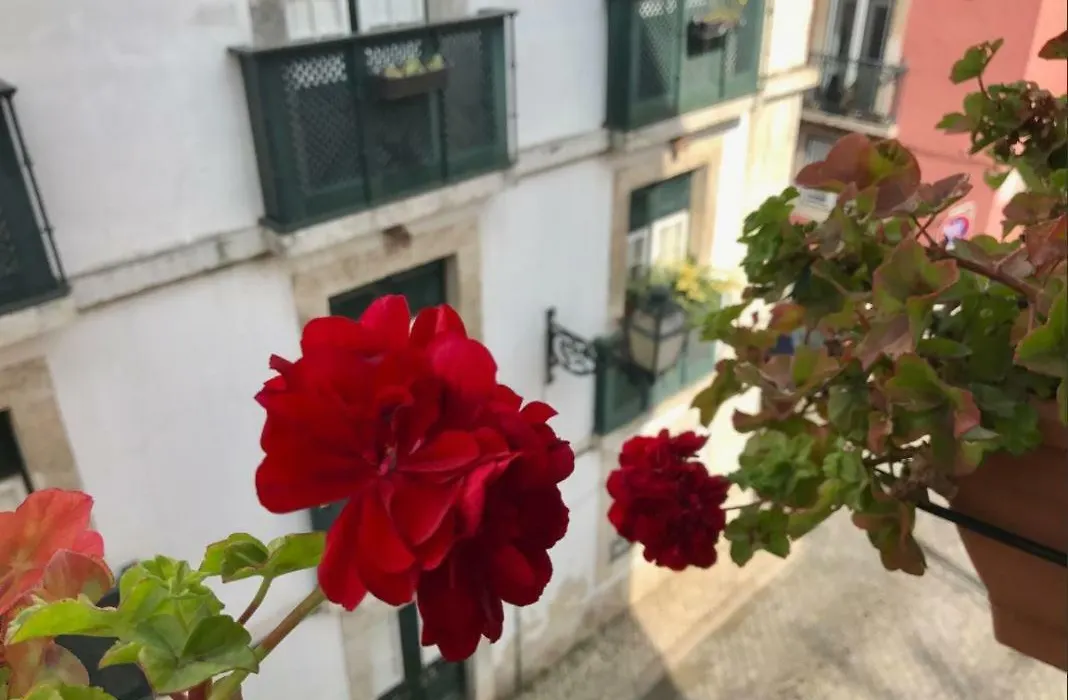 In The Heart Of Lisbon-1